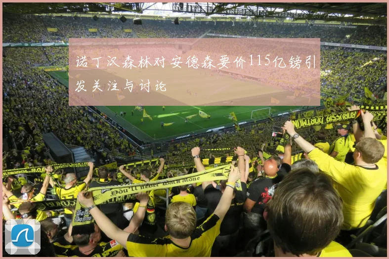 诺丁汉森林对安德森要价115亿镑引发关注与讨论