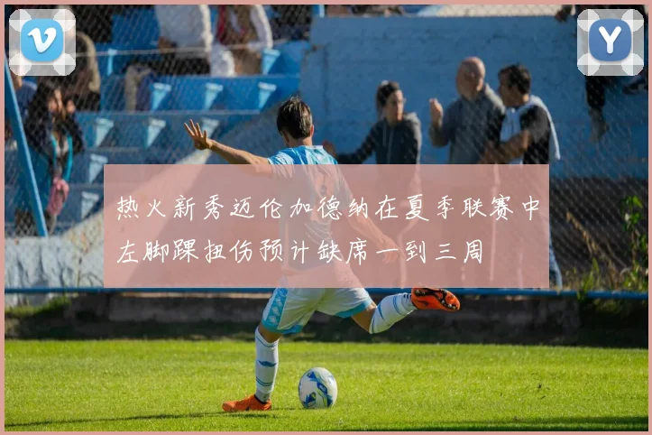 热火新秀迈伦加德纳在夏季联赛中左脚踝扭伤预计缺席一到三周