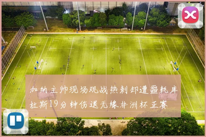 加纳主帅现场观战热刺却遭噩耗库杜斯19分钟伤退无缘非洲杯正赛